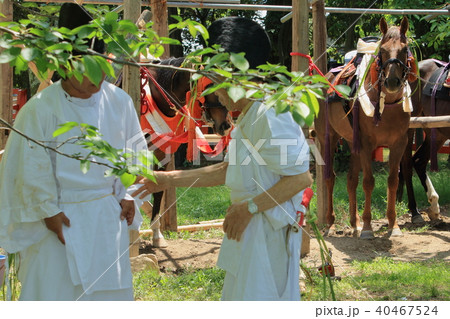 京都の上賀茂神社で行われる賀茂競馬の準備風景です 京都の上賀茂神社で行われる賀茂競馬の準備風景です 40467524