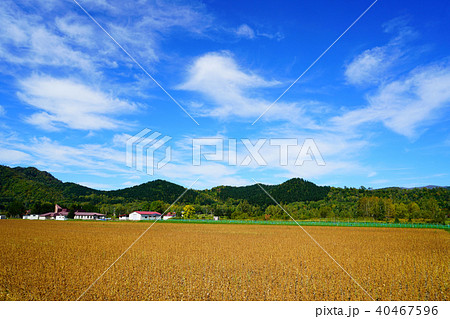 北海道 北の森ガーデン 北海道 北の森ガーデン 40467596