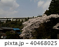春の高速道路ヨコ 40468025