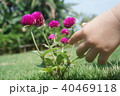 みーつけた 40469118