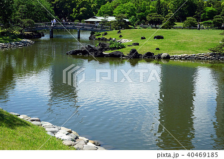 日本庭園の静寂な池の情景 40469185