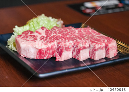 岡山千屋牛のヒレ肉・霜降り和牛の焼肉プレート 岡山千屋牛のヒレ肉・霜降り和牛の焼肉プレート 40470018