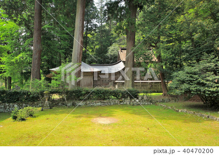 新緑の鰐淵寺 40470200