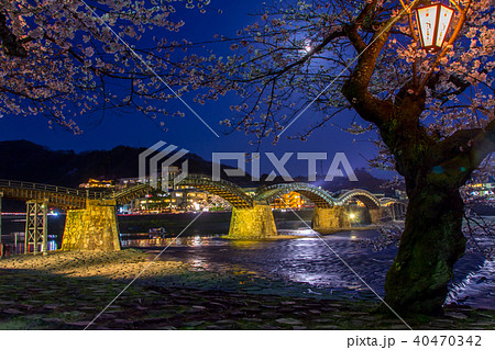 錦帯橋と夜桜／山口県岩国市 40470342