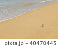 忘れ物 40470445