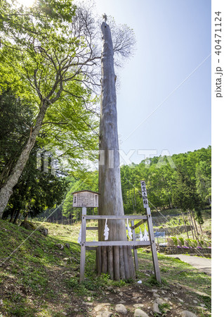 長野県 諏訪大社 上社前宮 一の柱 長野県 諏訪大社 上社前宮 一の柱 40471124