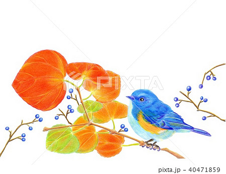 秋の風景 秋の風景 40471859