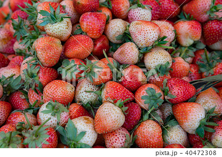 fresh strawberries in the background 40472308
