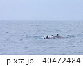串本のホエールウォッチング 40472484