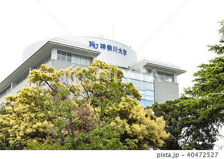 神奈川大学 神奈川大学 40472527