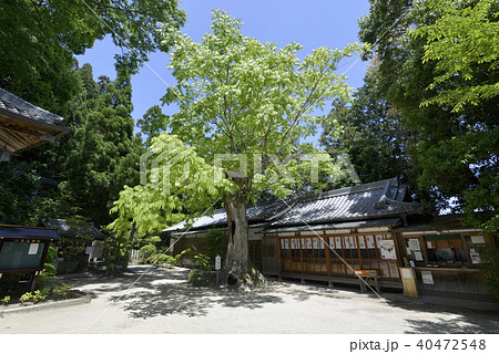 一言主神社 一言主神社 40472548