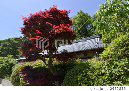 一言主神社 一言主神社 40472836