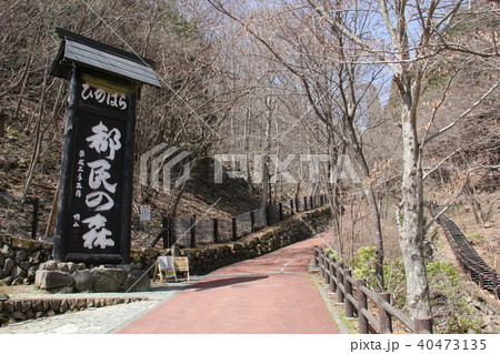 ひのはら 都民の森 森林官 ひのはら 都民の森 森林官 40473135