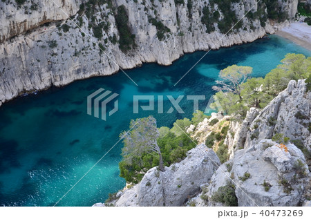 カランクとカシ Calanques South Flance 40473269