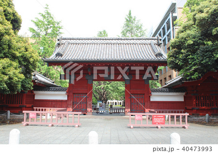 東京大学 赤門 東京大学 赤門 40473993