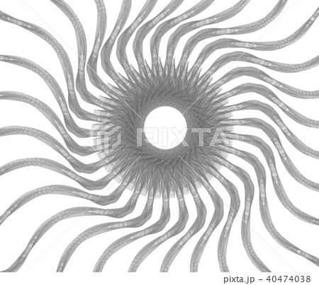 生命的なオブジェ 40474038