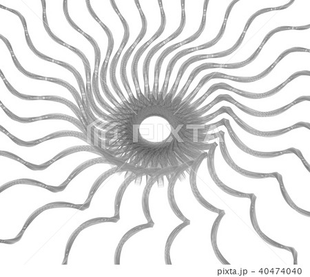 生命的なオブジェ 生命的なオブジェ 40474040