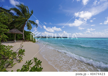 南国 モルディブ モルジブ 海 ハワイ 夏 海外 水上ヴィラ 結婚式 砂浜の写真素材