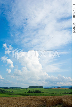 夏の空と畑作地帯 夏の空と畑作地帯 40474691