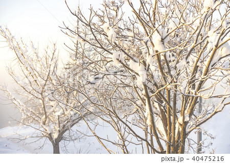 雪景色 雪景色 40475216