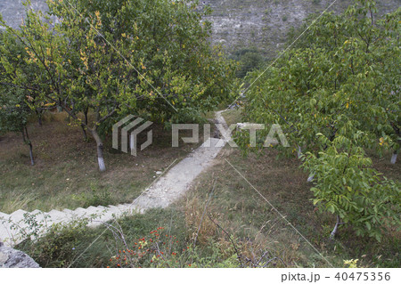 Beautiful autumn orhard. 40475356
