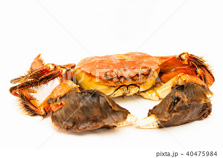 モクズガニ モクズガニ 40475984