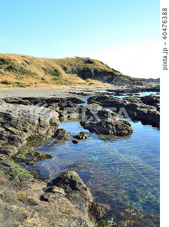黒崎 神奈川県三浦市初声町の風景 40476388