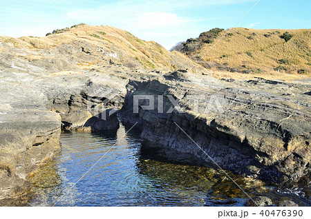 黒崎 神奈川県三浦市初声町の風景 40476390