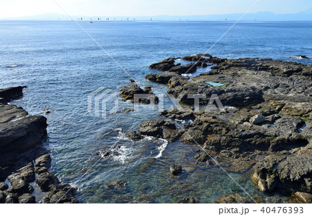 黒崎 神奈川県三浦市初声町の風景 40476393
