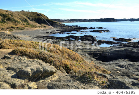 黒崎 神奈川県三浦市初声町の風景 40476395