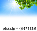 青空　太陽　若葉 40476836