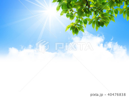 青空　太陽　若葉　雲 40476838