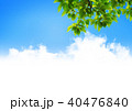 青空　若葉　雲 40476840