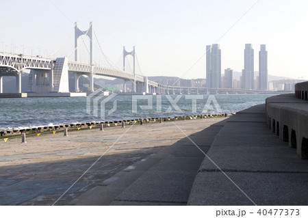 広安大橋 釜山 桟橋 40477373