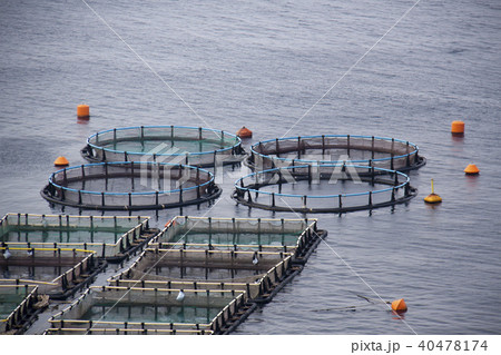 Aquaculture 40478174