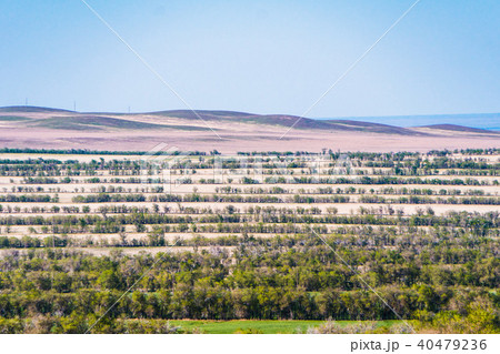 Panorama of a beautiful landscape with mountain ranges and trees in Kazakhstan 40479236