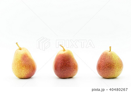 洋ナシ(品種:フォエル): Pear cv. Forelle 洋ナシ(品種:フォエル): Pear cv. Forelle 40480267
