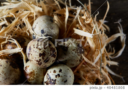 Conceptual still-life with quail eggs in hay nest over dark wooden background, close up, selective 40481808