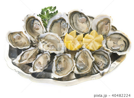 oysters on silver tray oysters on silver tray 40482224