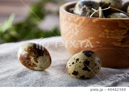 Bowl with eggs quail, eggs on a homespun napkin, boxwood on wooden background, close-up, selective Bowl with eggs quail, eggs on a homespun napkin, boxwood on wooden background, close-up, selective 40482389