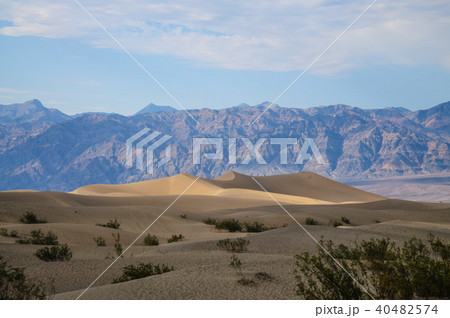 The Sand Dunes of Death Valley The Sand Dunes of Death Valley 40482574