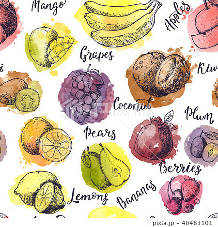 Fruits vector fruity apple banana and exotic mango with fresh slices and watercolor logo of tropical 40483101