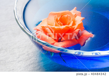 Orange rose flower floating on blue water bowl 40484342
