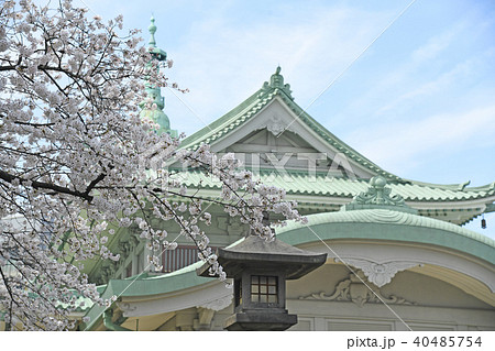 東京都墨田区両国　春の横網町公園　桜 40485754