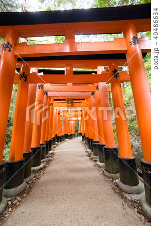 伏見稲荷大社 伏見稲荷神社 京都 40486634