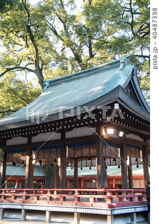 武蔵一宮 氷川神社 武蔵一宮 氷川神社 40487398