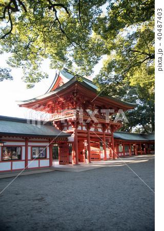 武蔵一宮 氷川神社 武蔵一宮 氷川神社 40487403