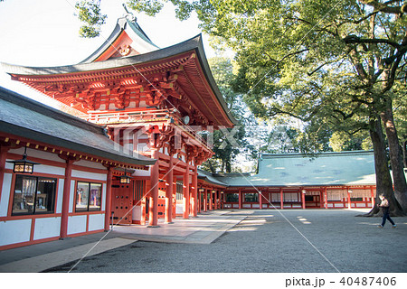 武蔵一宮 氷川神社 の写真素材