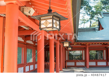 武蔵一宮　氷川神社　 40487417