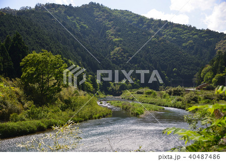 初夏の四万十川上流域 初夏の四万十川上流域 40487486